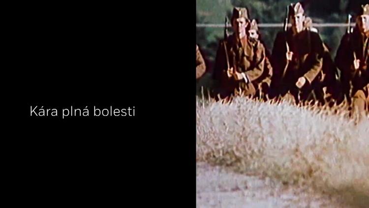 Постер Kára plná bolesti