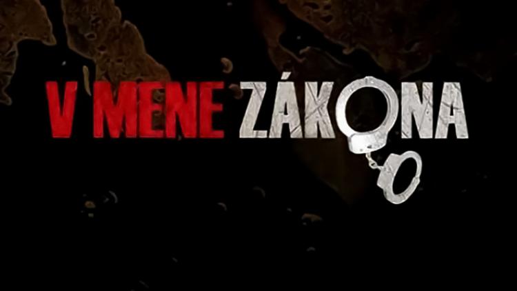 Постер V mene zákona