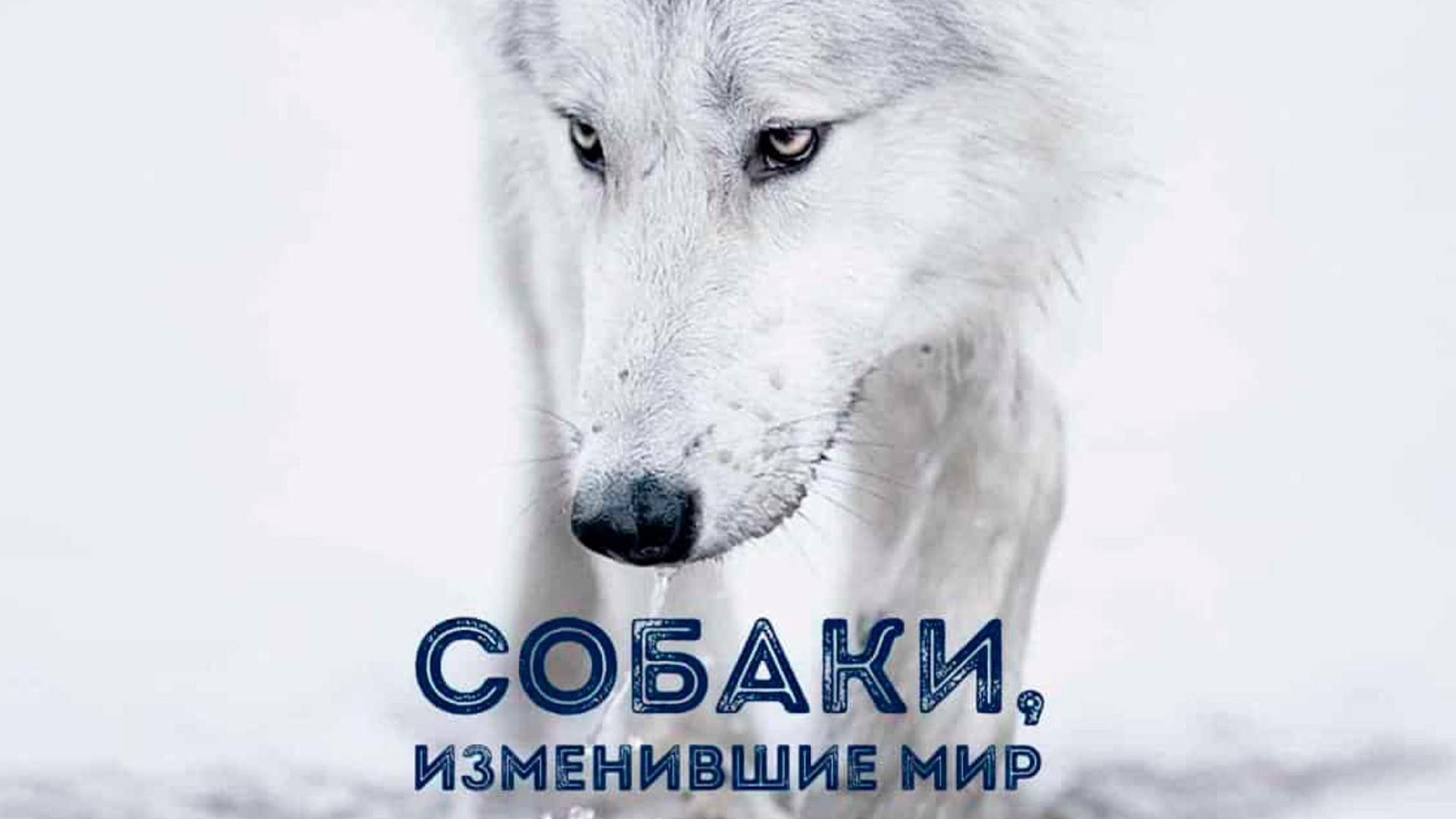 Собаки, изменившие мир (sobaki-izmenivshie-mir) Документальный фильм