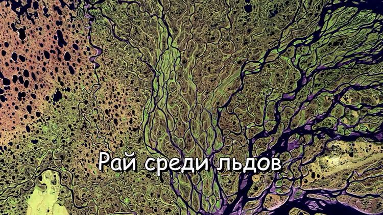 Постер Рай среди льдов