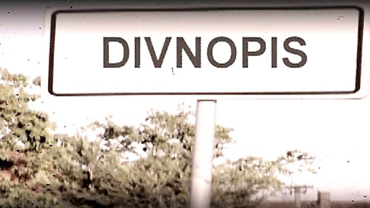 Постер Divnopis