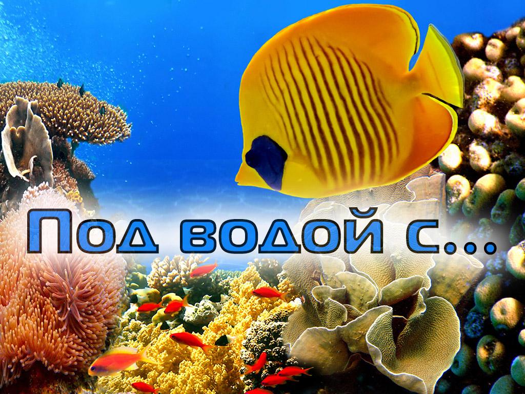 Под водой с... (pod-vodoj-s) Документальный сериал