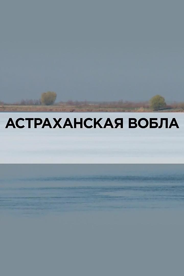 Астраханская вобла (astrahanskaja-vobla) Документальный фильм