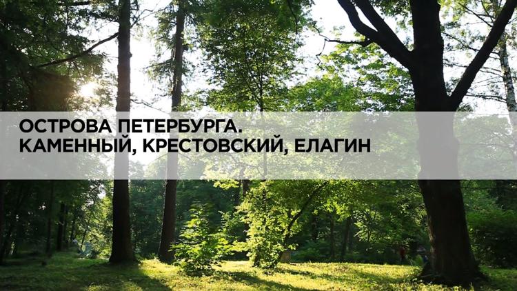 Постер Острова Петербурга. Каменный, Крестовский, Елагин