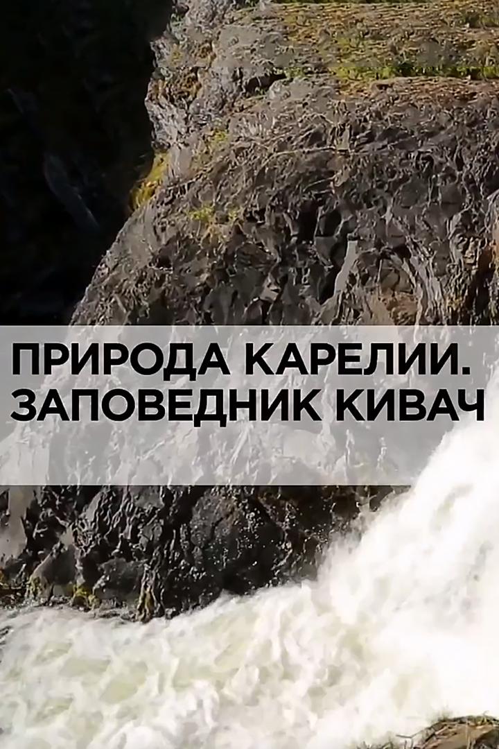 Природа Карелии. Заповедник Кивач (priroda-karelii-zapovednik-kivach) Документальный фильм