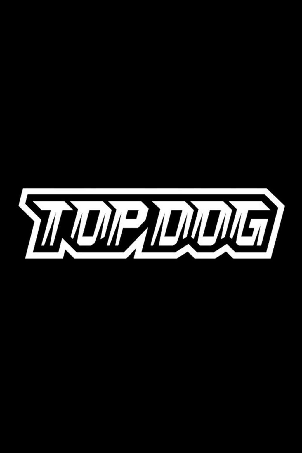 Top Dog FC 11. Конференция (top-dog-fc-11-konferentsija) Досуг, хобби
