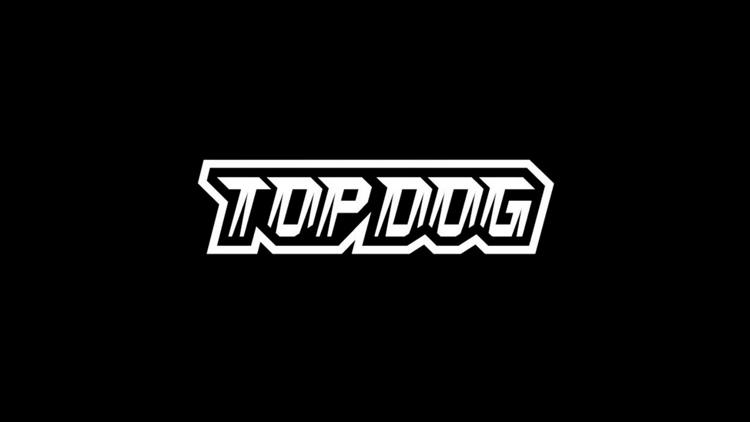 Постер Top Dog FC 11. Конференция