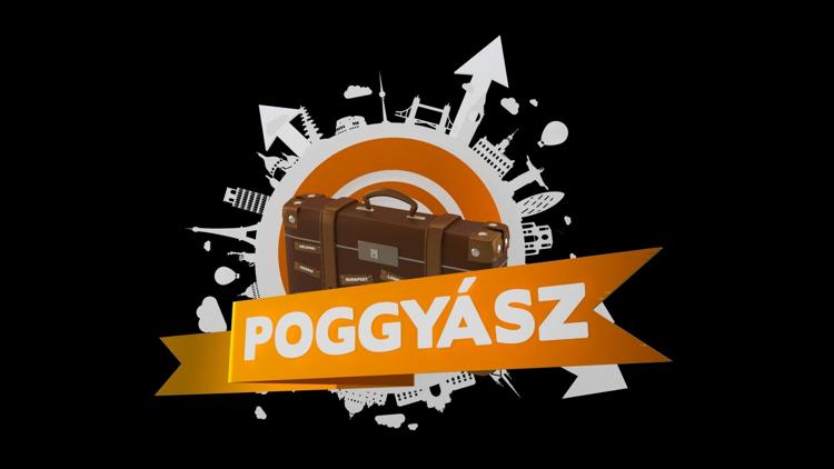 Постер Poggyász