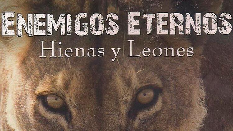 Постер Eternos rivales: hienas y leones