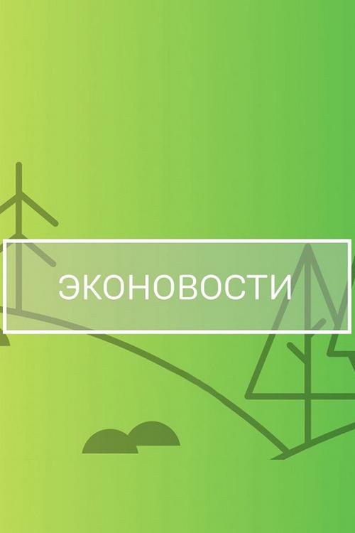 Эконовости (ekonovosti) Новости