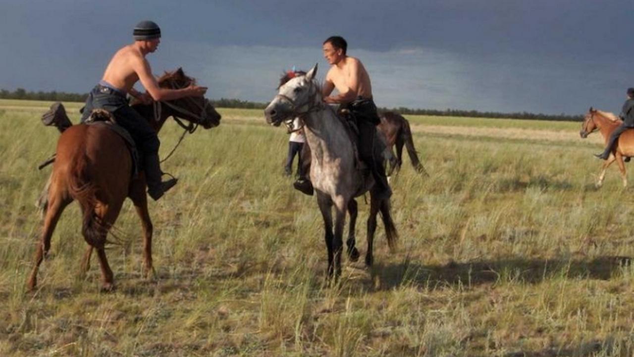 Аударыспақ (audaryspa) Другое