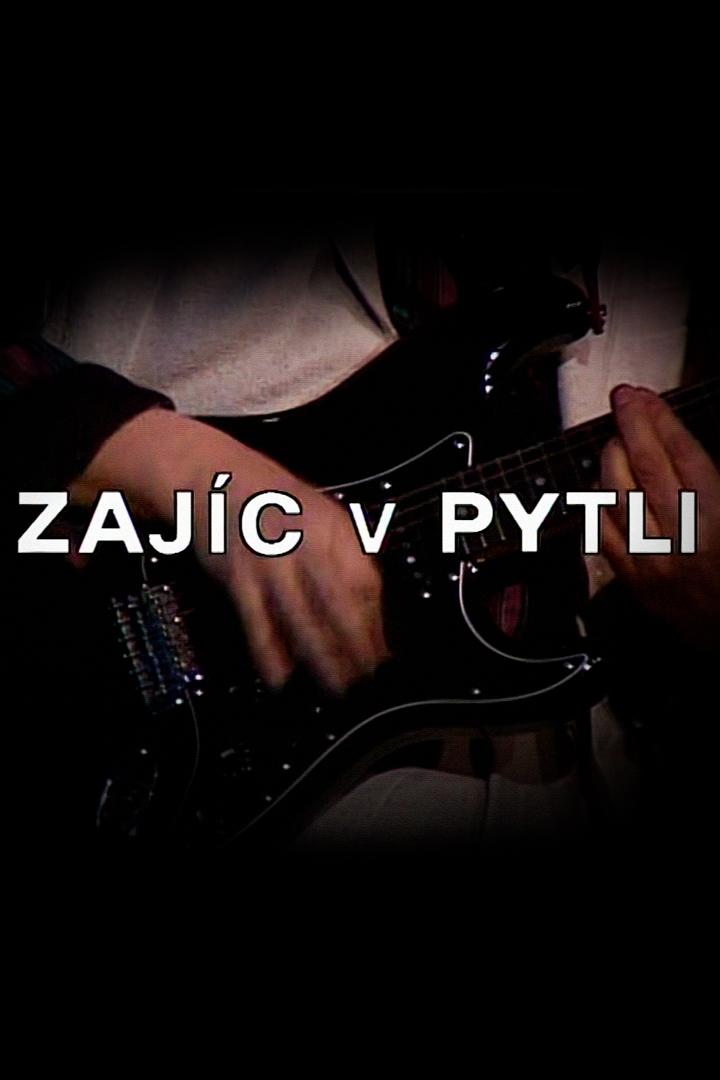 Zajíc v pytli (zajc-v-pytli) Досуг, хобби