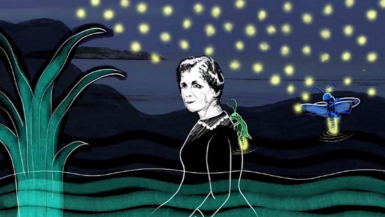 Постер Rachel Carson, la mère de l'écologie