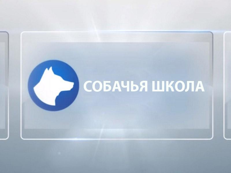 Собачья школа (sobachja-shkola) Познавательное