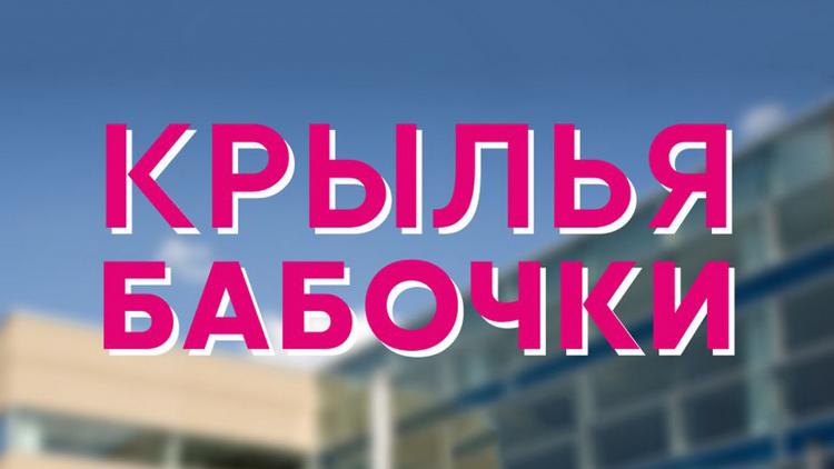 Постер Крылья бабочки