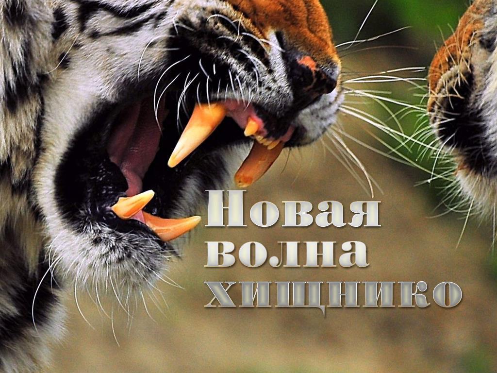Новая волна хищников (novaja-volna-hischnikov) Досуг, хобби
