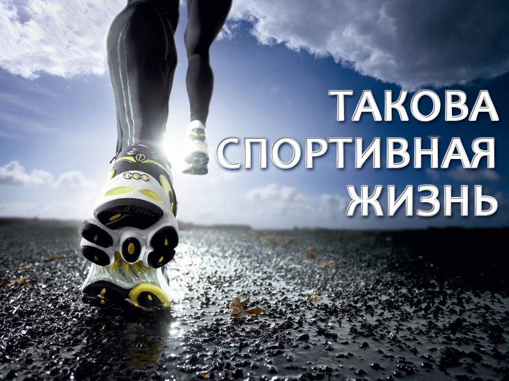 Такова спортивная жизнь (takova-sportivnaja-zhizn) Познавательное