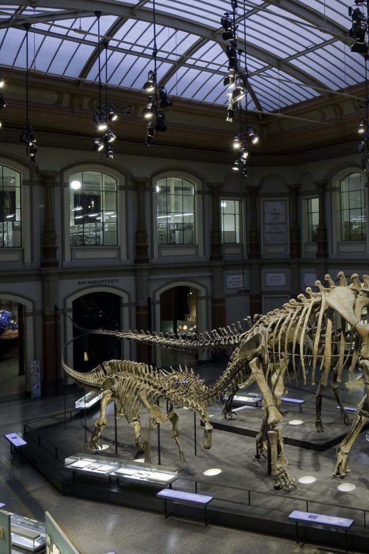 Les chasseurs de dinosaures : à la recherche des monstres de la Préhistoire (les-chasseurs-de-dinosaures-la-recherche-des-monstres-de-la-prhistoire) Документальный фильм