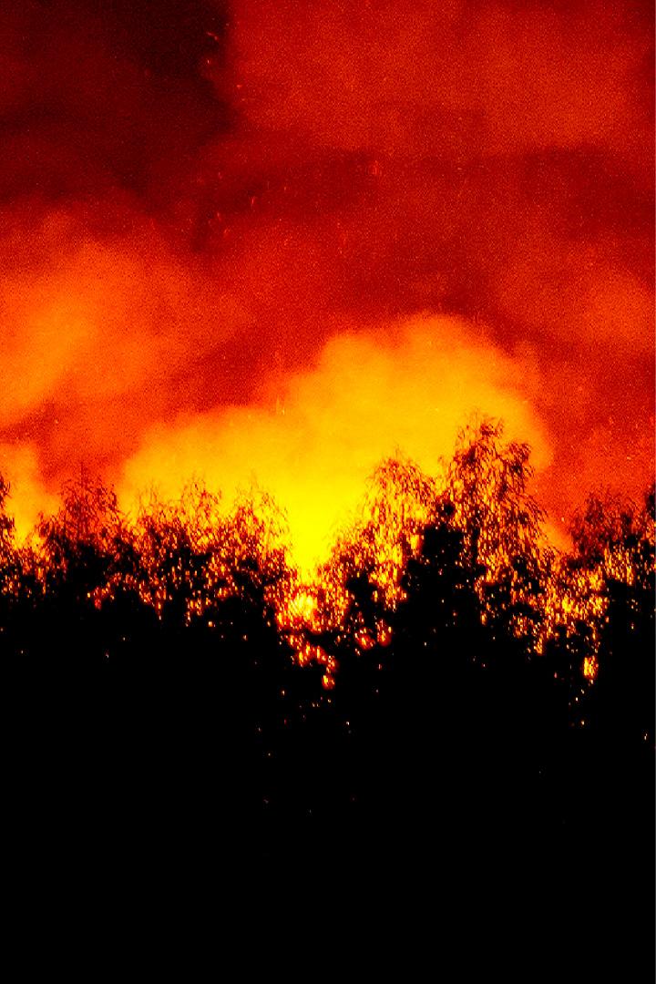 Mégafeux, le nouvel âge du feu (mgafeux-le-nouvel-ge-du-feu) Документальный фильм