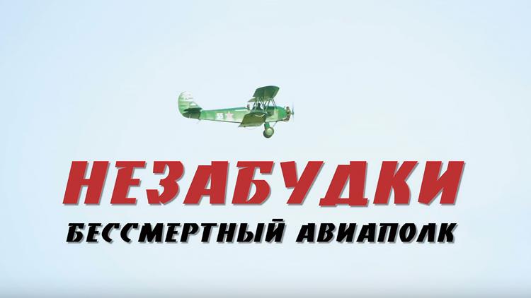 Постер Незабудки. Бессмертный авиаполк