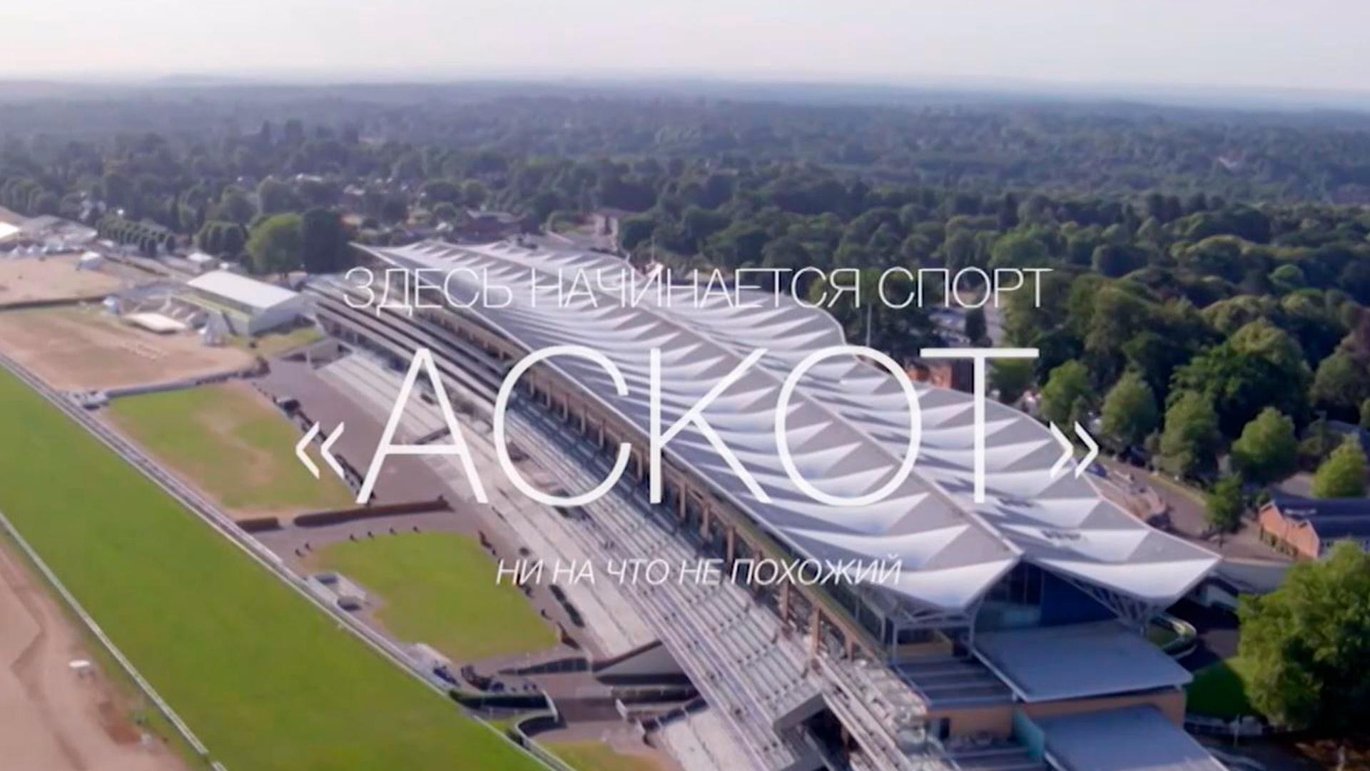 Здесь начинается спорт (zdes-nachinaetsja-sport) Досуг, хобби