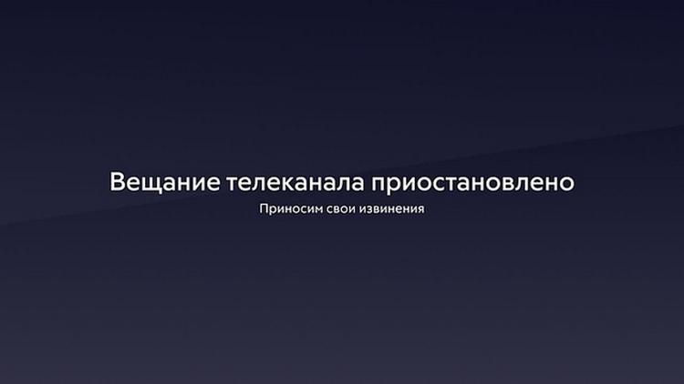 Постер Вещание телеканала приостановлено