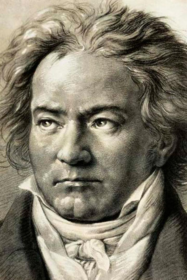 ბეთჰოვენის ცხოვრება, გმირული სიმფონია Документальный фильм