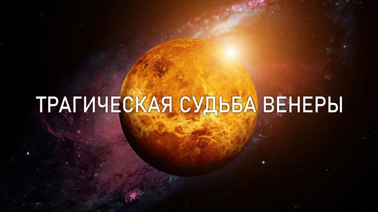 Постер Трагическая судьба Венеры