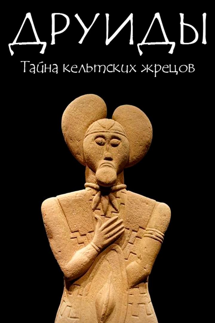 Друиды: тайны кельтских жрецов (druidy-tajny-keltskih-zhretsov) Документальный фильм