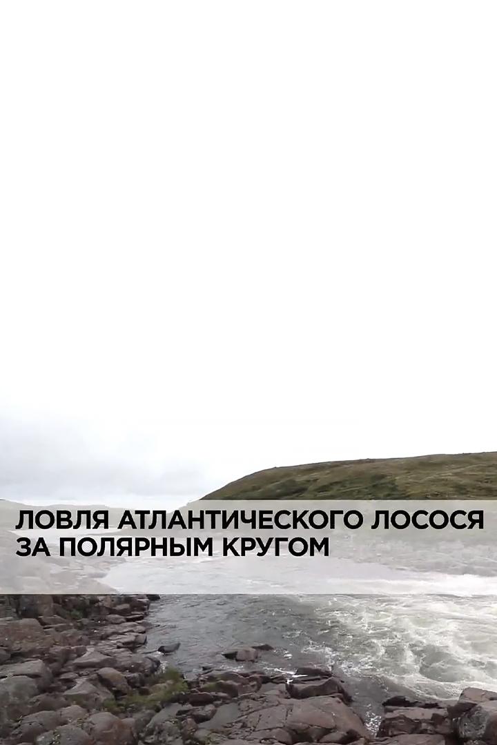 Ловля атлантического лосося за полярным кругом (lovlja-atlanticheskogo-lososja-za-poljarnym-krugom) Документальный фильм