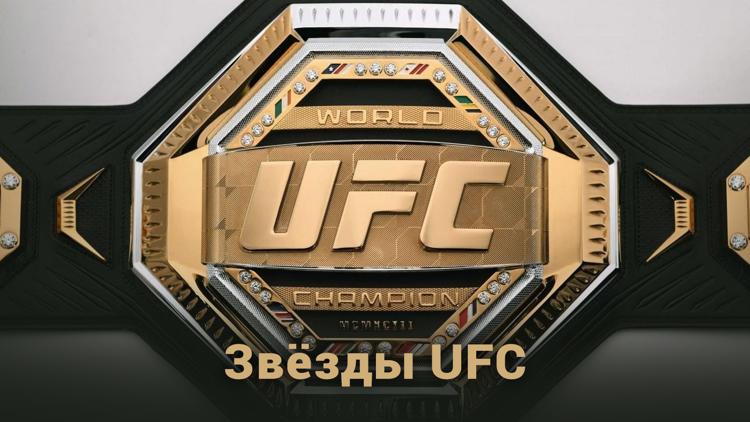 Постер Звёзды UFC