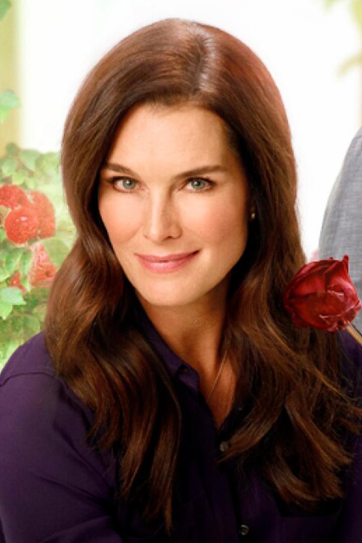 Flower Shop Mysteries (flower-shop-mysteries) Сериал 2016