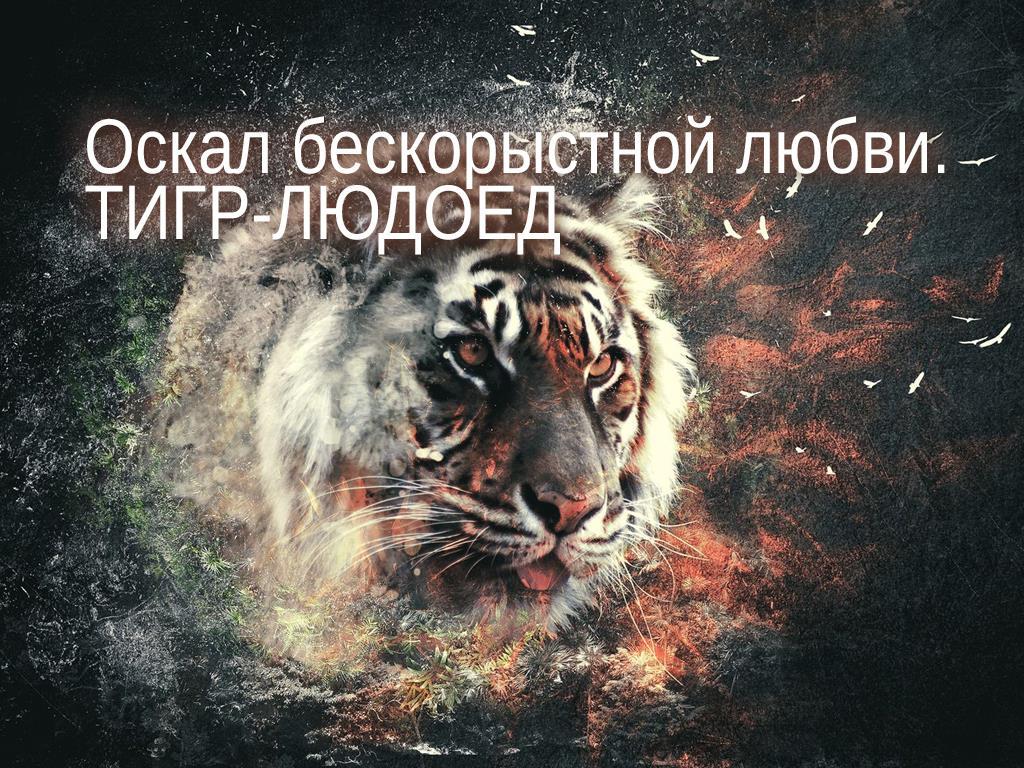 Оскал бескорыстной любви. Тигр-людоед (oskal-beskorystnoj-ljubvi-tigr-ljudoed) Документальный фильм