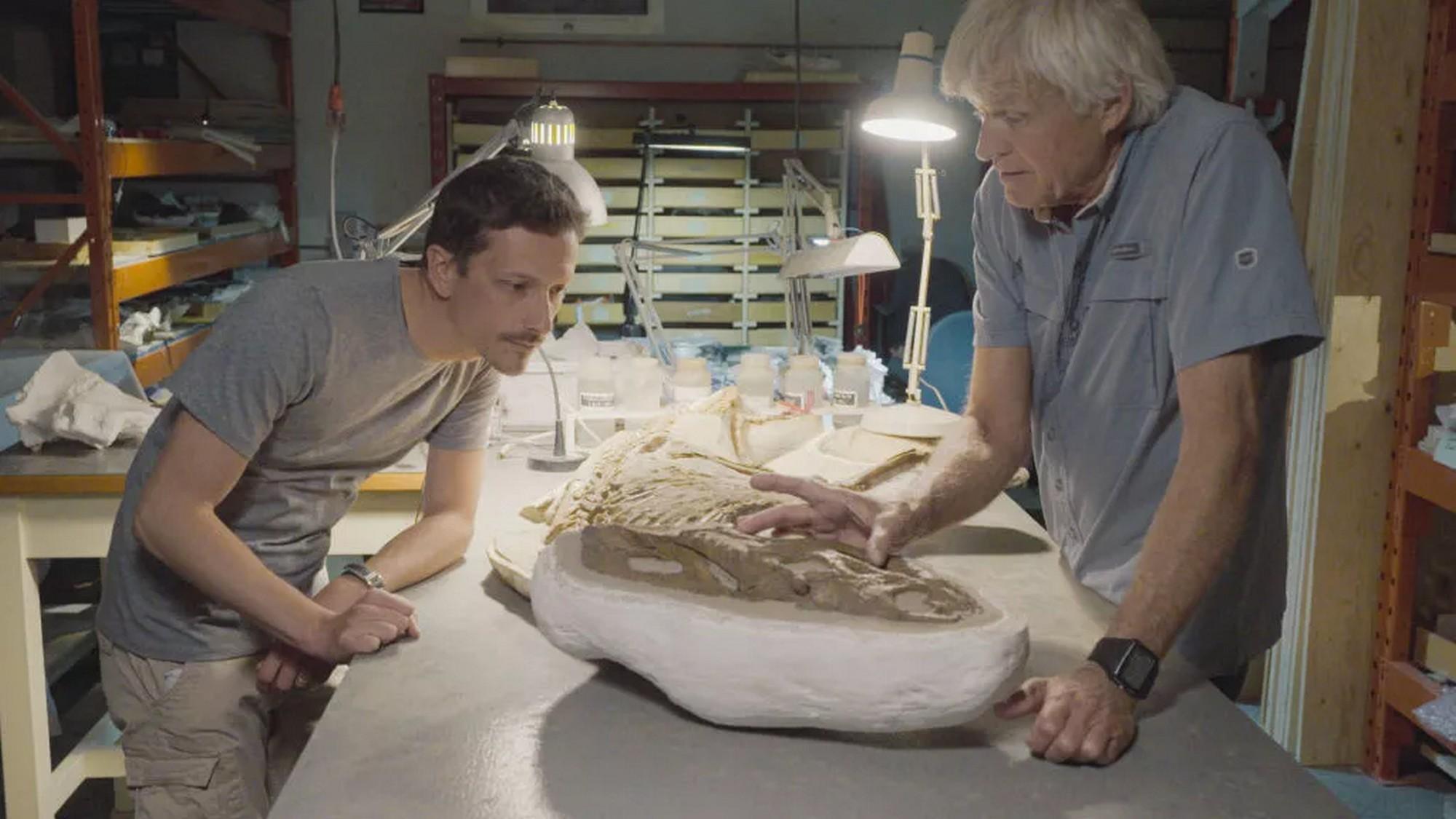 Охотник за динозаврами (ohotnik-za-dinozavrami) Документальный сериал