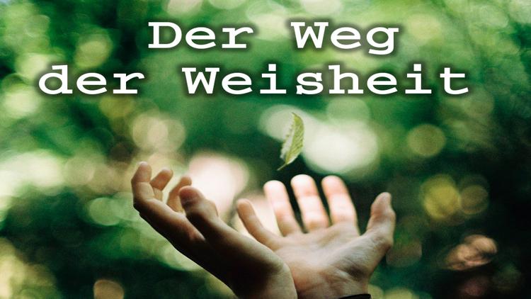 Постер Der Weg der Weisheit