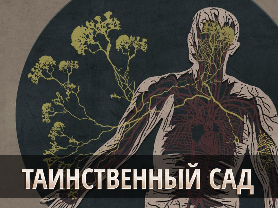 Таинственный сад (tainstvennyj-sad) Документальный фильм