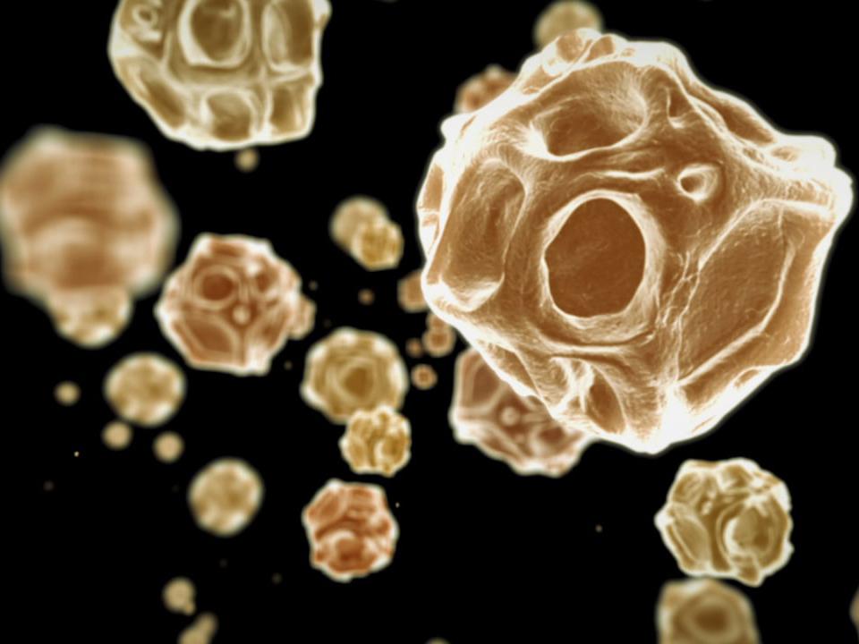 Таинственный сад (tainstvennyj-sad) Документальный фильм