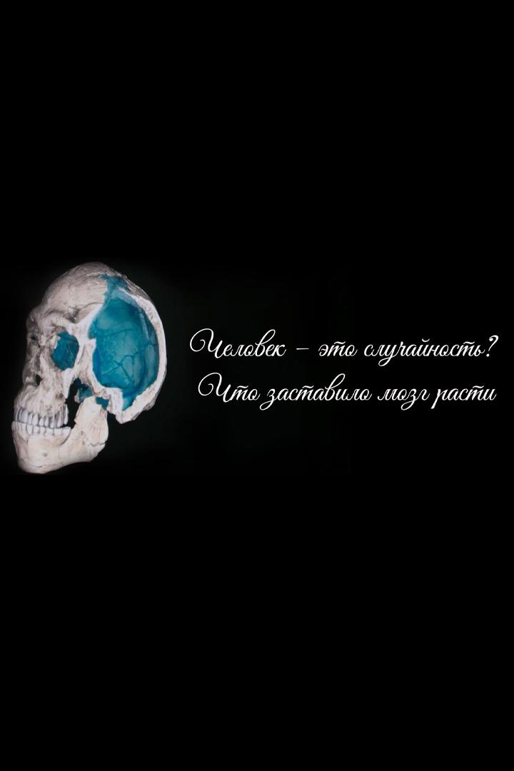Человек - это случайность? Что заставило мозг расти (chelovek-eto-sluchajnost-chto-zastavilo-mozg-rasti) Документальный фильм