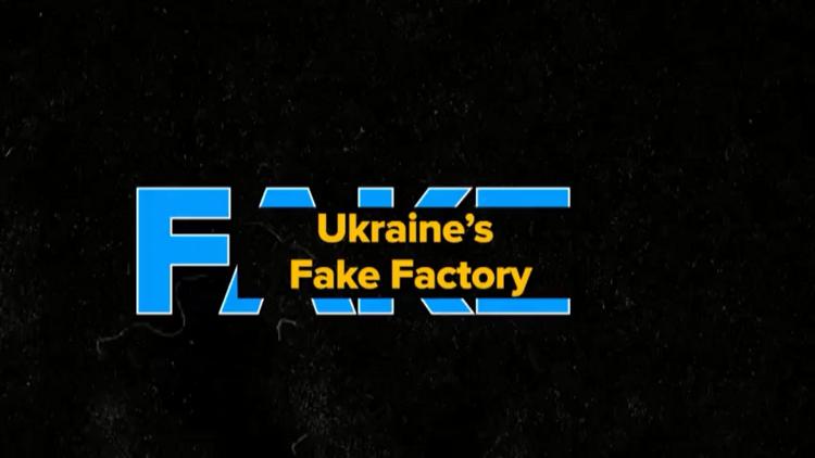 Постер Politics: Ukraine's Fake Factory