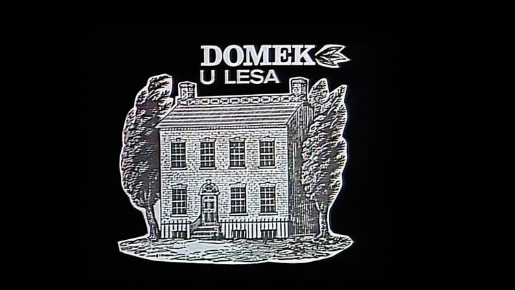 Постер Domek u lesa