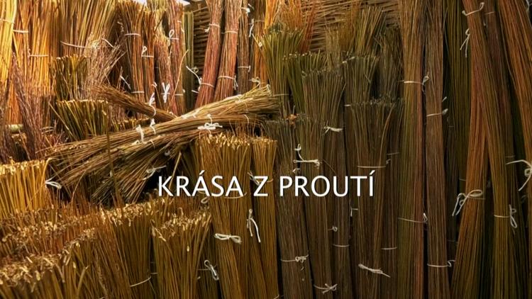 Постер Krása z proutí