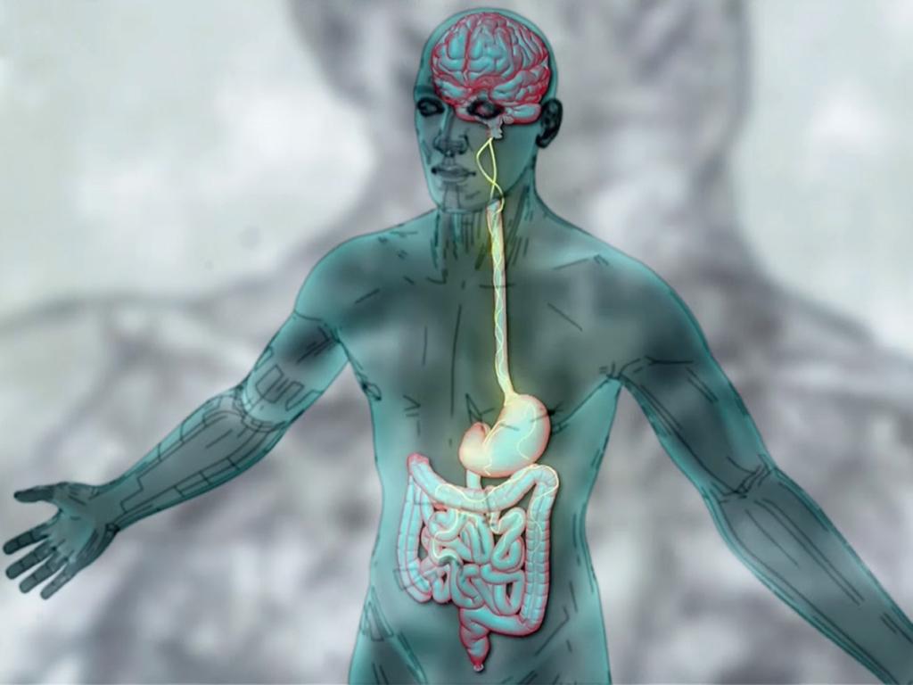 Наш второй мозг (nash-vtoroj-mozg) Документальный фильм