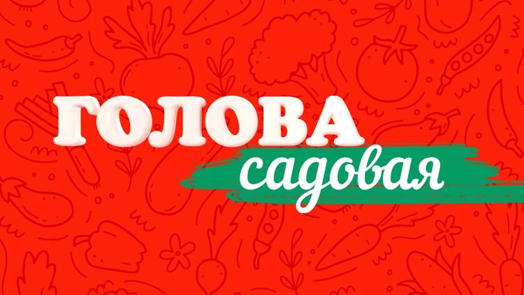 Постер Голова садовая