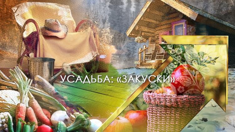 Постер Закуски