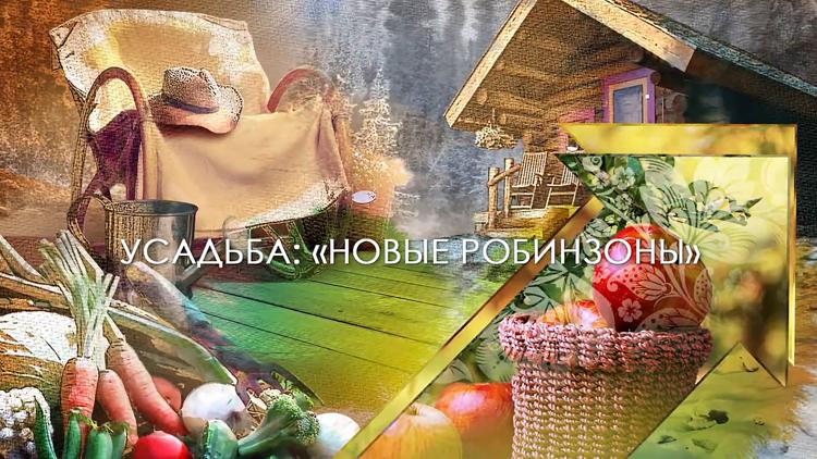 Постер Новые Робинзоны