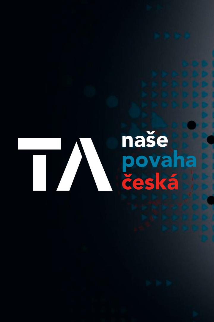 Hledám sponzora. Zn: Pro nemocné dítě (hledm-sponzora-zn-pro-nemocn-dt) Документальный фильм