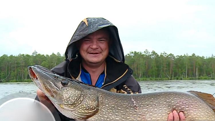 Постер Дневник экспедиций. Затерянные в тайге ЛЕТО