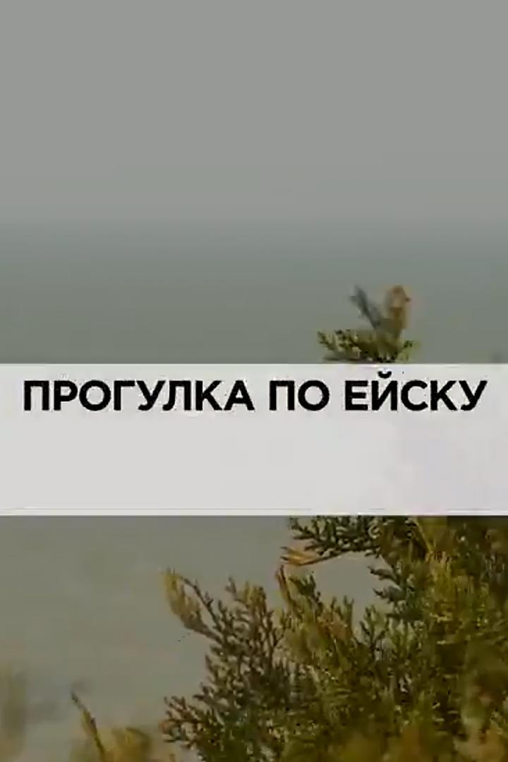 Прогулка по Ейску (progulka-po-ejsku) Документальный фильм