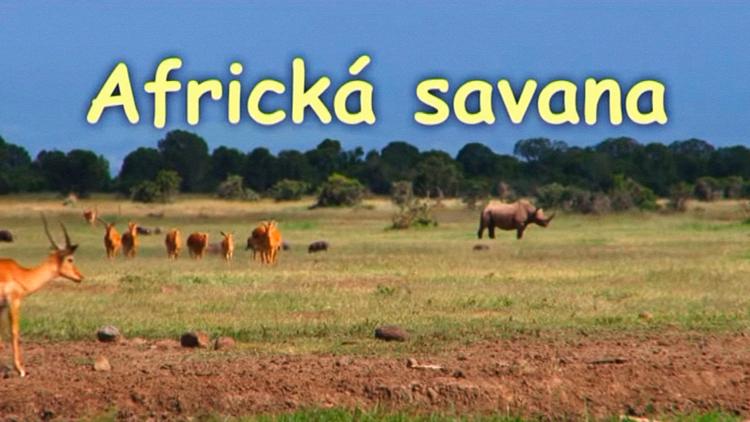 Постер Africká savana