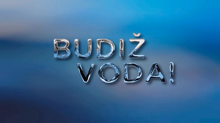 Постер Budiž voda!